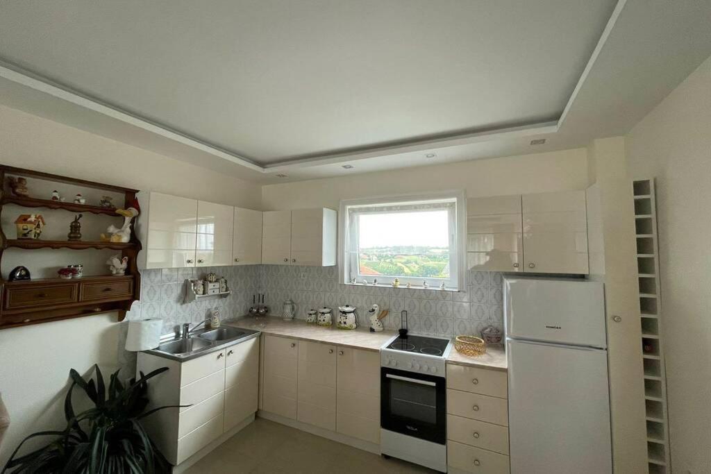 Apartament Stan Na Dan Oplenac Topola Zewnętrze zdjęcie